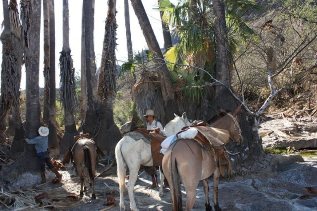  Group rides 